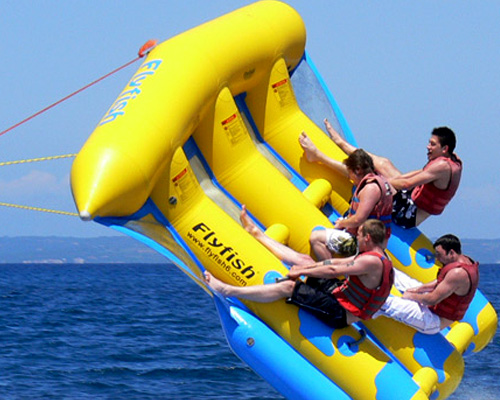 Pez volador